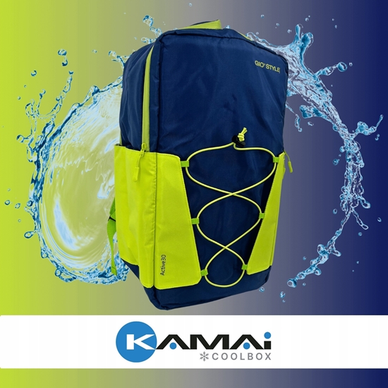 Picture of Thermal backpack Active Backpack 30 blue-green 8000303309161