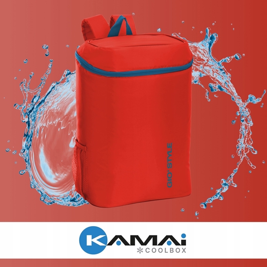 Picture of Thermal backpack Frio assorted light blue/green/red 8000303309239