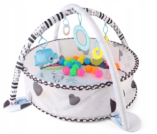 Picture of TinyMini JL626-2D Mata edukacyjna 2w1  Basen z Pikami