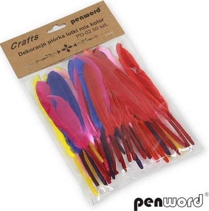 Picture of Titanum Piórka lotki mix 10-15cm 50szt