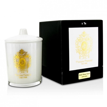 Picture of TIZIANA TERENZI Gold Rose Oudh CANDLE 170g