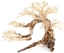 Picture of Tonce drzewo Bonsai nr 63 80x45