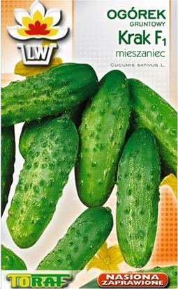 Picture of Toraf Nasiona Ogórek Gruntowy Krak