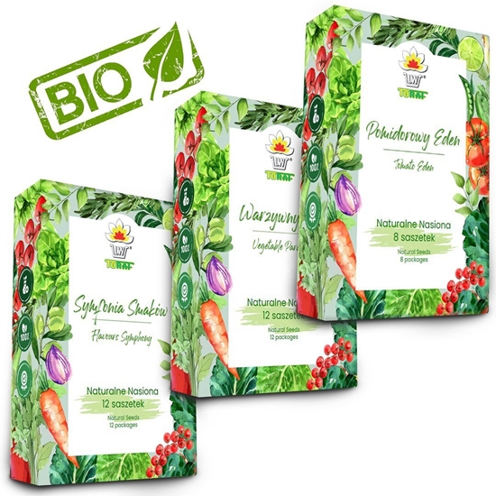 Picture of TORAF ZESTAW NASION - SET 1+2+3 2024 TORAF 32X1SZT