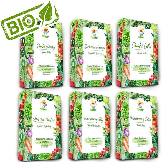 Picture of TORAF ZESTAW NASION - SET 1+2+3+4+5+6 2024 TORAF 63X1SZT