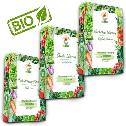 Picture of TORAF ZESTAW NASION - SET 3+4+5 2024 TORAF 32X1SZT