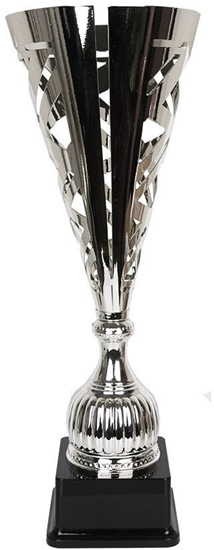 Изображение Tryumf Puchar 2084