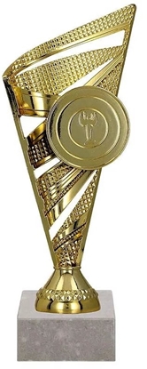 Picture of Tryumf Puchar 8381