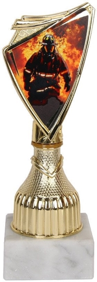 Изображение Tryumf Puchar 9297/FIR stra poarna