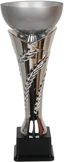 Изображение Tryumf Puchar W1550