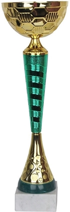 Изображение Tryumf Puchar W1971