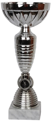 Изображение Tryumf Puchar W1999