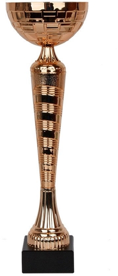 Изображение Tryumf Puchar W2079