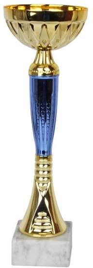 Изображение Tryumf Puchar W2085