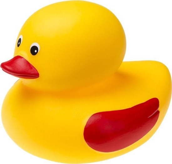 Picture of Tullo Tullo - Kaczka do kpieli