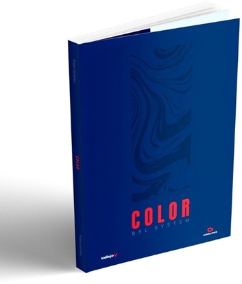Picture of Vallejo: 75.091 - Book - Color BSL System