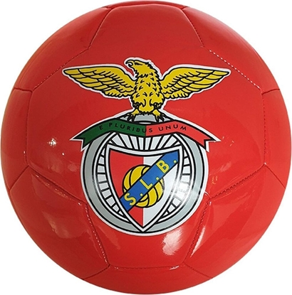 Attēls no Victoria Sport PIKA NONA BENFICA R.5