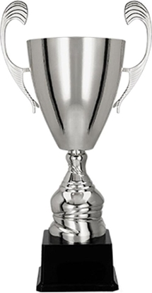 Attēls no Victoria Sport Puchar metalowy srebrny T-M