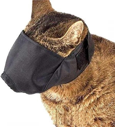 Attēls no WAU DOG KAGANIEC DLA KOTA DUY