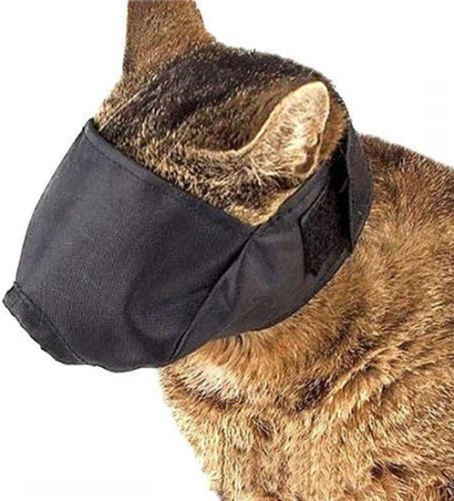 Picture of WAU DOG KAGANIEC DLA KOTA DUY