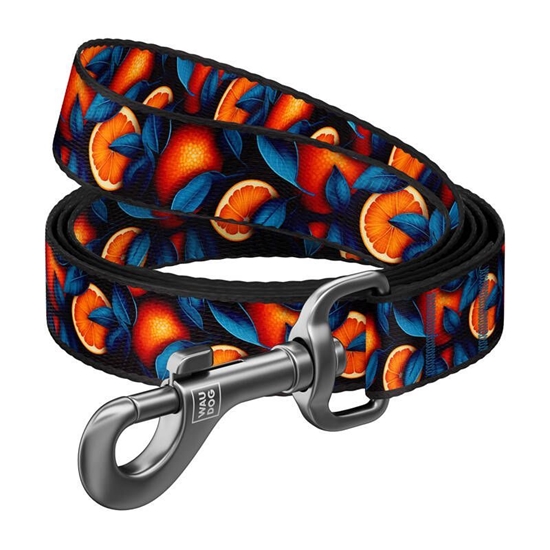 Изображение Nylon dog leash, pattern ''Oranges'' length 122 cm