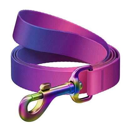 Picture of Waudog WAUDOG gradient nylon dog leash, 15mm wide, 122cm long, purple
