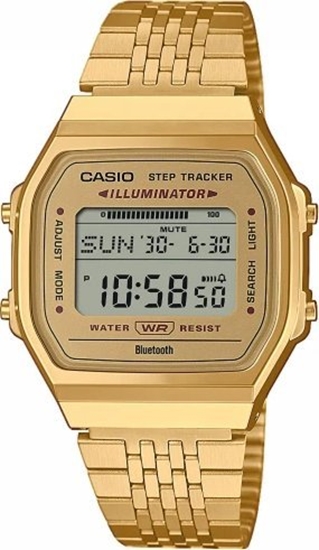 Изображение Zegarek Casio Casio ABL-100WEG-9AEF