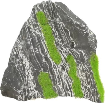 Picture of Zolux Zolux Ozdoba do akwarium dwukolorowy kamie KIPOUSS M z nasionami