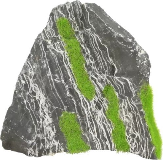 Picture of Zolux Zolux Ozdoba do akwarium dwukolorowy kamie KIPOUSS M z nasionami