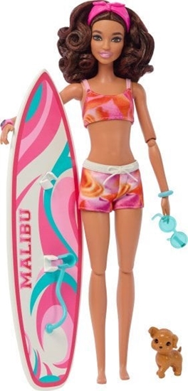 Picture of Lalka Barbie Mattel plaowa (brunetka) + akcesoria HPL69