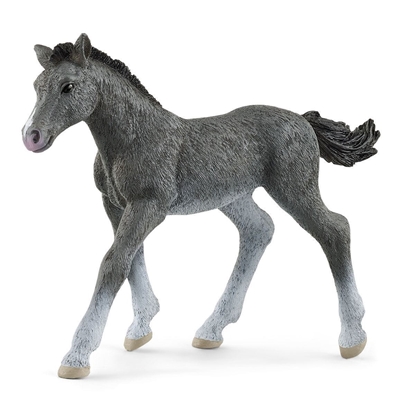 Picture of Schleich Horse Club     13944 Trakehner Foal