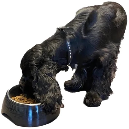 Picture of Bestron Paw Love Melamine bowl with steel bowl 350ml Black