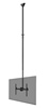 Picture of NEOMOUNTS FLAT SCREEN CEILING MOUNT (HEIGHT: 250-300 CM) BLACK