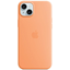 Изображение Apple Silicone Case with Magsafe Rear Cover for Apple iPhone 15 Plus