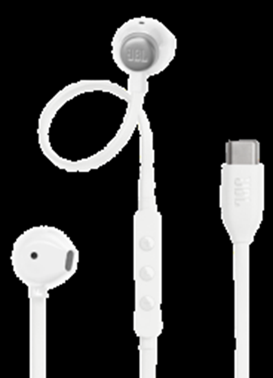 Picture of Austiņas JBL Tune 305C USB-C Baltas