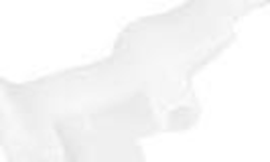 Picture of Brother Feeder Cam Lever