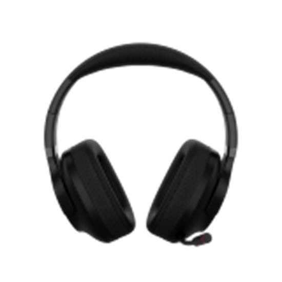 Picture of CANYON CND-SGHS16B