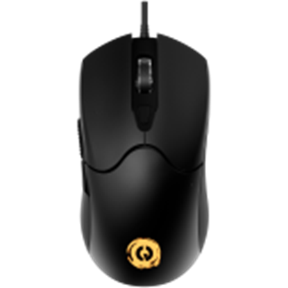 Attēls no CANYON CND-SGM211