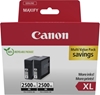 Picture of Canon PGI-2500 XL BK black Twin Pack