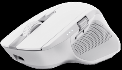 Picture of Datorpele Trust Ozaa+ White