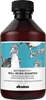 Picture of Davines Natural Tech Well-Being Shampoo 250 ml
