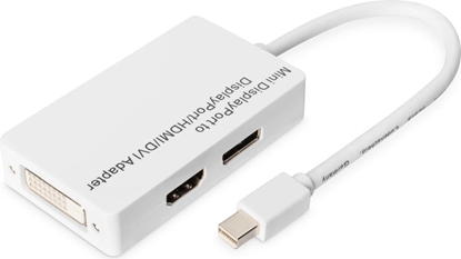 Изображение Digitus Mini DisplayPort Adapter / Converter - Mini DP to DisplayPort, HDMI + DVI