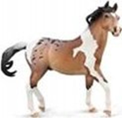 Изображение Figurka Collecta COLLECTA OGIER MUSTANG STALLION BAY PINTOLOOSA - DELUXE SKALA 1:12