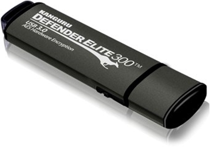 Attēls no iStorage Kanguru Defender Elite300, 128GB pami USB USB Typu-A 3.2 Gen 1 (3.1 Gen 1) Czarny, Szary