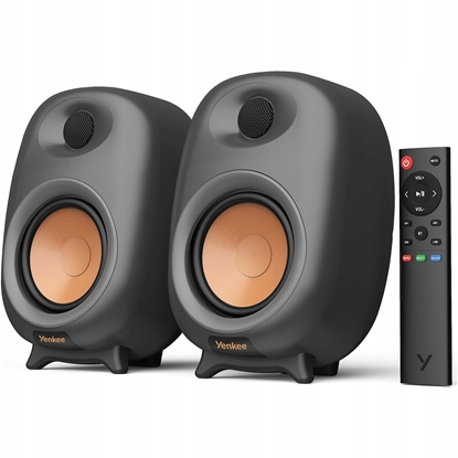 Изображение YSP 2060 Gosniki PC 2.0 80W