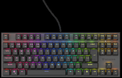 Picture of Klaviatūra Genesis Thor 303 TKL Outemu Brown