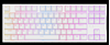 Picture of Klaviatūra Genesis Thor 404 TKL Gateron White