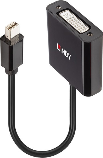 Picture of Lindy Mini DisplayPort to DVI Active Converter