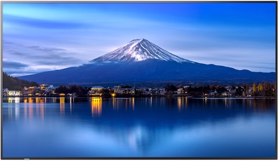 Picture of MODEL PN-P656, 65" P-Series Large Format Display, UHD, 700cd/m2, D-LED backlight, 24/7 proof, SDM Slot, CM-Slot