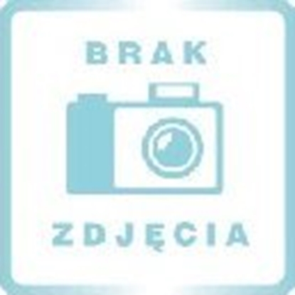 Изображение Óeczko turystyczne dwupoziomowe kidwell blissy duo gray